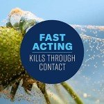 BioAdvanced Organic Insect Control for Gardens, 24 oz