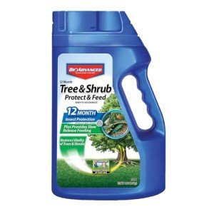 BioAdvanced 12-Month Tree and Shrub Granules