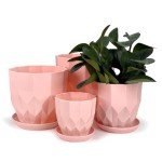 Vodotion Flower Pots with Drainage Holes and Trays