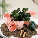 Vodotion Flower Pots with Drainage Holes and Trays
