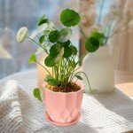 Vodotion Flower Pots with Drainage Holes and Trays