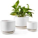 Set of 3 Modern Ceramic Indoor Plant Pots