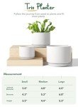 Set of 3 Modern Ceramic Indoor Plant Pots