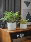 Set of 3 Modern Ceramic Indoor Plant Pots