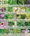 35 Variety Medicinal Herb Seeds for Planting