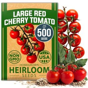 Large Red Cherry Tomato Seeds - 500 Pack