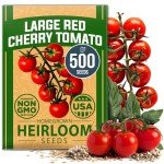 Large Red Cherry Tomato Seeds - 500 Pack