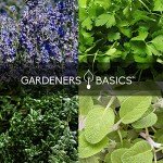 35 Variety Medicinal Herb Seeds for Planting