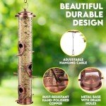 Squirrel-Proof Hanging Bird Feeder - 16 Inches