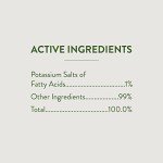 Garden Safe 32 oz. Ready-to-Use Insecticidal Soap