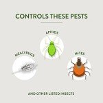 Garden Safe 32 oz. Ready-to-Use Insecticidal Soap