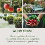 Garden Safe 32 oz. Ready-to-Use Insecticidal Soap