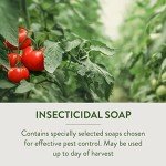 Garden Safe 32 oz. Ready-to-Use Insecticidal Soap