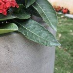 Kante 18" Round Concrete Planter for Home & Garden