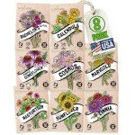 Flower Seeds Variety Pack: 8 Non-GMO Packets