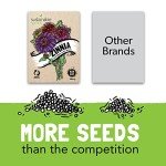 Flower Seeds Variety Pack: 8 Non-GMO Packets