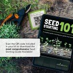 Flower Seeds Variety Pack: 8 Non-GMO Packets
