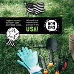 Flower Seeds Variety Pack: 8 Non-GMO Packets