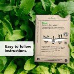 Flower Seeds Variety Pack: 8 Non-GMO Packets