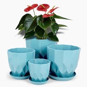 Vodotion Flower Pots with Drainage for Indoor Plants