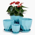 Vodotion Flower Pots with Drainage for Indoor Plants