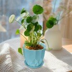 Vodotion Flower Pots with Drainage for Indoor Plants