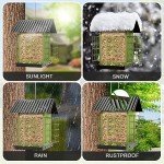 Hanging Metal Bird Feeder with Suet Cages