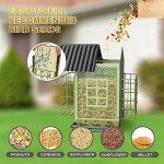 Hanging Metal Bird Feeder with Suet Cages
