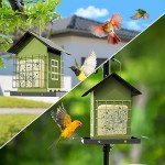 Hanging Metal Bird Feeder with Suet Cages