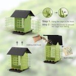 Hanging Metal Bird Feeder with Suet Cages