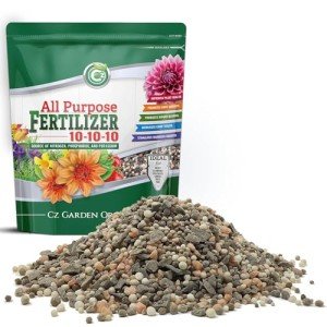 All-Purpose 10-10-10 Granular Fertilizer for Plants