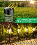 Solar Pathway Lights 8 Pack – Waterproof LED Garden Lights