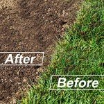 Walensee Twist Tiller Hand Cultivator with Removable Claw