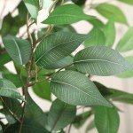 5ft Tall Faux Ficus Tree for Indoor Decor