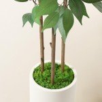 5ft Tall Faux Ficus Tree for Indoor Decor