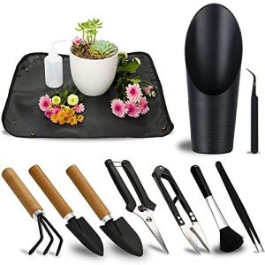11-Piece Mini Succulent Gardening Tool Set
