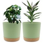 8-inch Indoor/Outdoor Planters with Drainage - 2 Pack