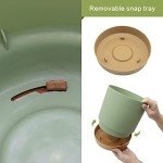 8-inch Indoor/Outdoor Planters with Drainage - 2 Pack