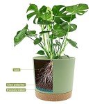 8-inch Indoor/Outdoor Planters with Drainage - 2 Pack