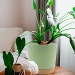 8-inch Indoor/Outdoor Planters with Drainage - 2 Pack