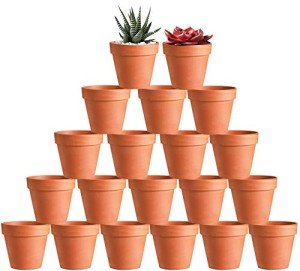 20-Pack 3-Inch Drainage Nursery Pots for Succulents