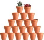 20-Pack 3-Inch Drainage Nursery Pots for Succulents
