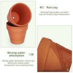 20-Pack 3-Inch Drainage Nursery Pots for Succulents
