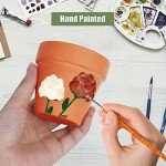 20-Pack 3-Inch Drainage Nursery Pots for Succulents