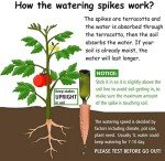 Terracotta Plant Watering Stakes - 6 Pack