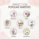 Organic Orchid Food Mist for Healthy Blooms