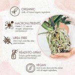 Organic Orchid Food Mist for Healthy Blooms