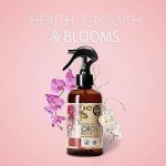Organic Orchid Food Mist for Healthy Blooms