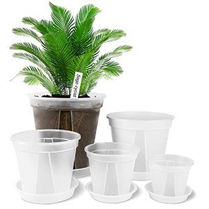 GREENPARA Transparent Garden Pots with Saucer Set