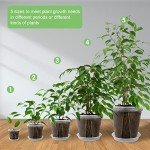 GREENPARA Transparent Garden Pots with Saucer Set